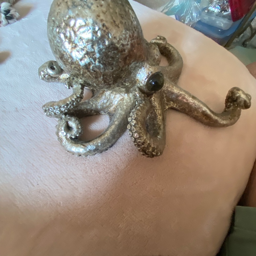 Sea creature - Picture 4 of 4
